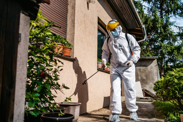 Best Cockroach Control Services  in Browns Point, WA