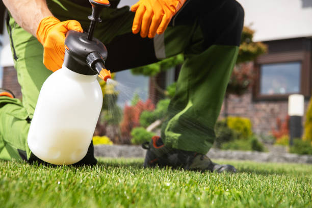 Best Local Pest Control Services  in Browns Point, WA