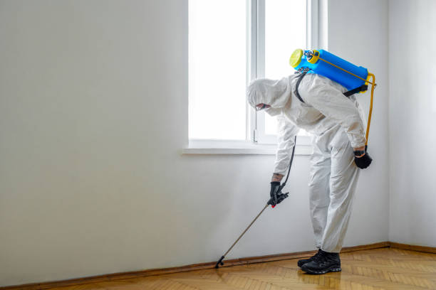 Pest Control for Restaurants in Browns Point, WA