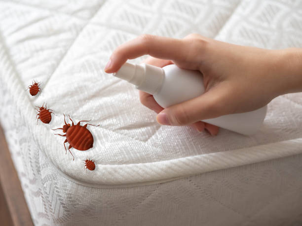 Best Cockroach Control Services  in Browns Point, WA