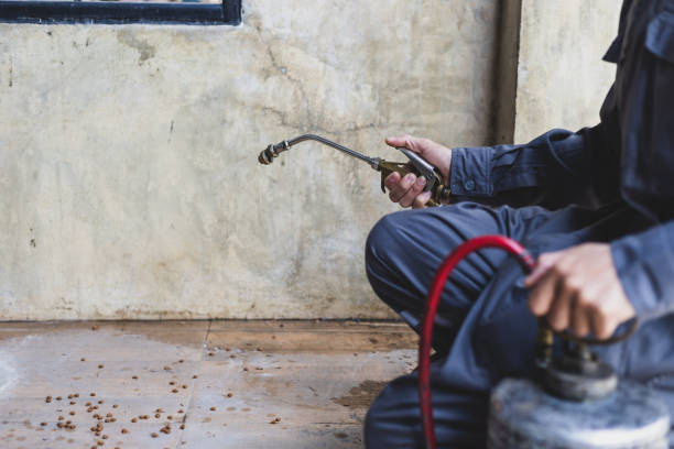 Best Exterminator Services  in Browns Point, WA